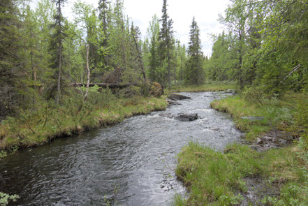 Galåbodarna, Schweden
