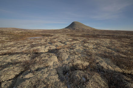 Rondane, Norwegen