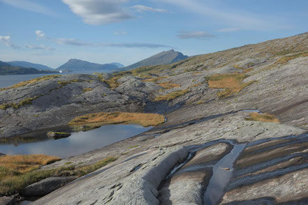 Tortenkøta, Norwegen