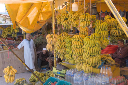 Bananen, Tamri, Marokko