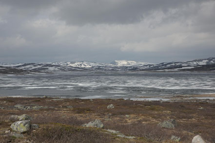 Hardangervidda, Norwegen