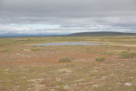 Flatruetvägen, Schweden