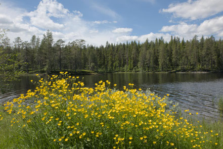 Schweden