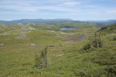 Vegglifjell, Norwegen