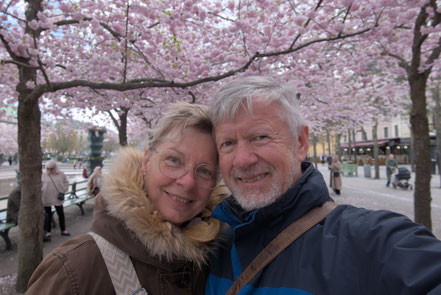 Andrea, Jürgen, Stockholm, Kirschblüte