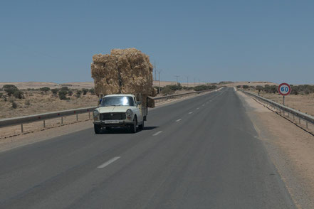 Westsahara