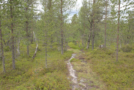 Schweden