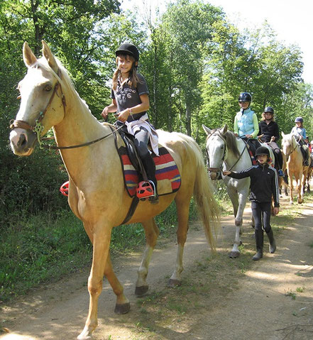 Activités équestres cheval Oradour sur Glane