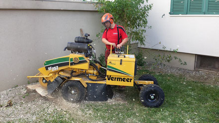 Wurzelstockfräse, Baumpflege Baumschnitt Pflanzung Strunkfräse Stockfräse Holzhacker Henzelmann