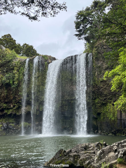 Whangarei falls