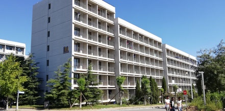 中国語学留学　大連外国語大学　部屋別寮費