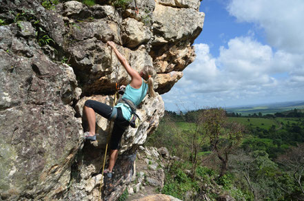 Le Renard perché, La Renaud Rautsch, grand gite, Alsace, Haut Rhin, proche de Colmar, Le Bonhomme, 68650, Col des Bagenelles, charme, nature, deconnexion, relaxation, vue, écologie, méditation, éco-lieu, yoga