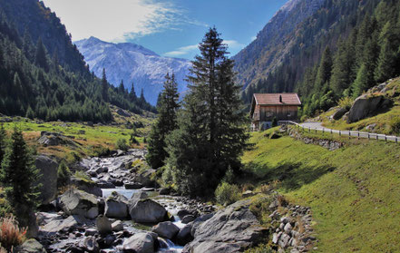 Le Renard perché, La Renaud Rautsch, grand gite, Alsace, Haut Rhin, proche de Colmar, Le Bonhomme, 68650, Col des Bagenelles, charme, nature, deconnexion, relaxation, vue, écologie, méditation, éco-lieu