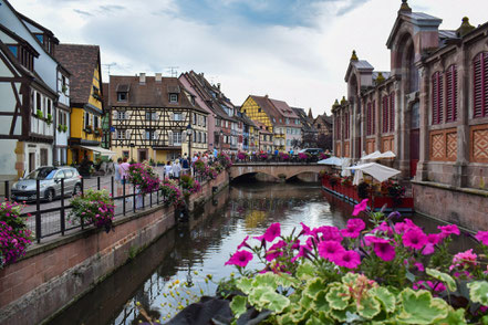 Colmar, Le Renard perché, La Renaud Rautsch, grand gite, Alsace, Haut Rhin, proche de Colmar, Le Bonhomme, 68650, Col des Bagenelles, charme, nature, deconnexion, relaxation, vue, écologie, méditation, éco-lieu, yoga