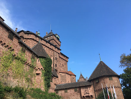 Chateau du Haut-Koenigsbourg, Le Renard perché, La Renaud Rautsch, grand gite, Alsace, Haut Rhin, proche de Colmar, Le Bonhomme, 68650, Col des Bagenelles, charme, nature, deconnexion, relaxation, vue, écologie, méditation, éco-lieu, yoga