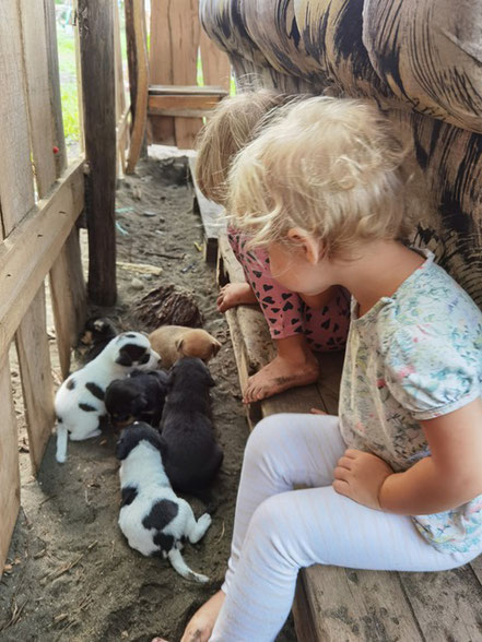 Die beiden Kinder (2J. & 4J.) mit Hundewelpen in Quepo (Foto: Evi Burkhardt)s, Costa Rica