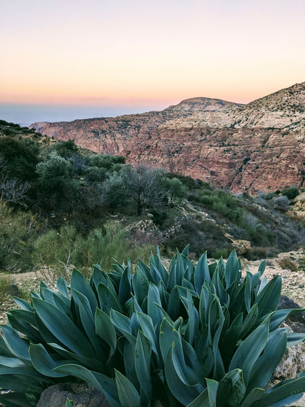 Photo from our 7 am morning hike 