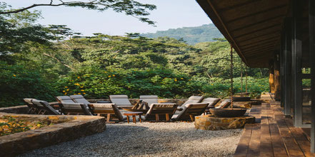 gorilla-forest-lodge.jpg