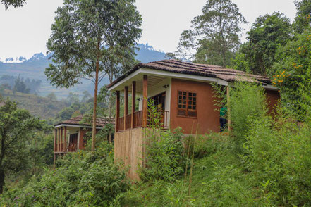 four-gorillas-lodge.jpg