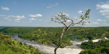 murchison-falls-national-park.jpg