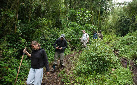 2-day-rwanda-gorilla-trekking-tour.jpg