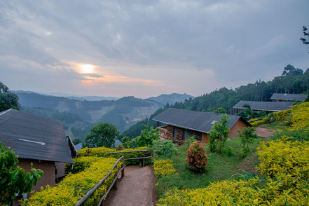 bakiga-lodge.jpg