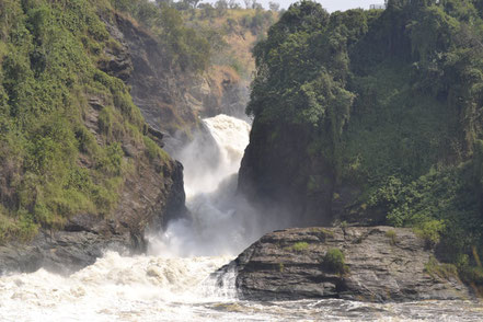 murchison-falls-national-park.jpg