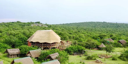 leopard-rest-camp.jpg