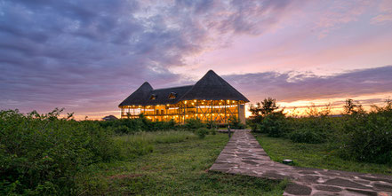 aardvark-safari-lodge.jpg