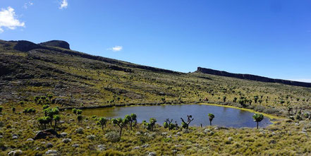 mount-elgon.jpg