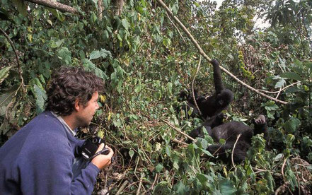 gorilla-trekking-rwanda.jpg