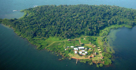 ngamba-island-on-lake-victoria.jpg