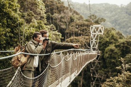 nyungwe-forest-canopy-walk.jpg