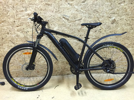 Umbau E Bikes Schamima Schaffhauser