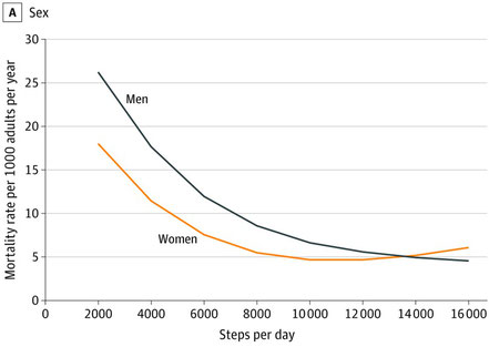  歩行数と男女別死亡率