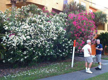 Bob Newding and James Nicholas lead the tour for Willi Hufnagl through the “Oleander City” of Galveston.