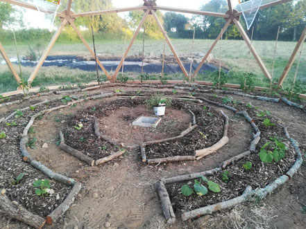 Intérieur d’un dôme serre avec buttes de culture en cercle et plantations en permaculture