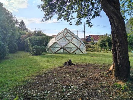 Zome serre de 20m² avec toile en polyane