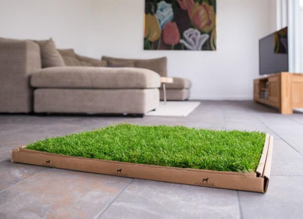 Die 10 Ausgefallensten Gadgets Fur Hunde Villa Bunterhund