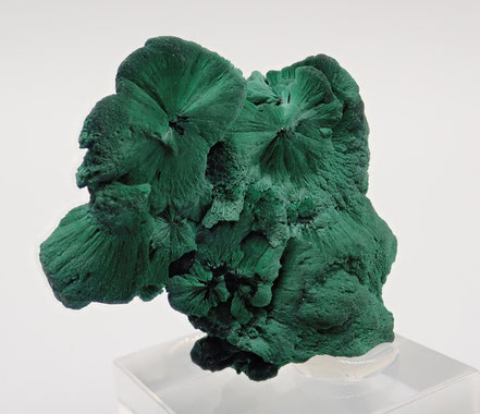 Botroidal Malachite