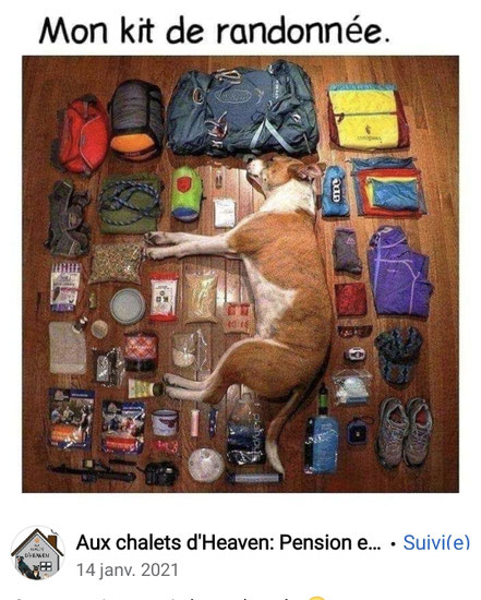 équipement pour partir en randonnée avec un chien
