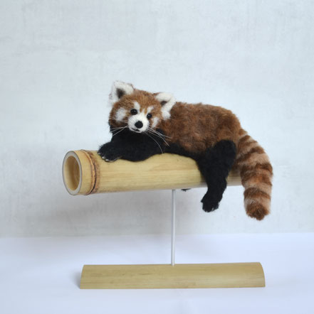 Roter Panda, Kleiner Panda, roter, kleiner, Panda, nadelfilzen, Skulptur, realistisch, Filz, Wolle, Wollskulptur, Museum, Kunst, Wollkunst