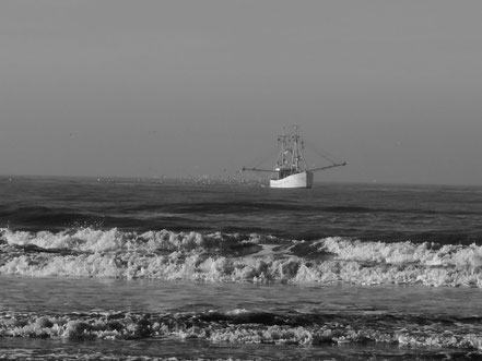 Sankt Peter Ording,Tourismus,Stelzenhaus,Strand,Meer,Sand,Wellen,Himmel,Freiheit,Liebe,Sonne,Menschen,Zweisamkeit,Fischer,fischen,Wellen,Krabben,Möwen