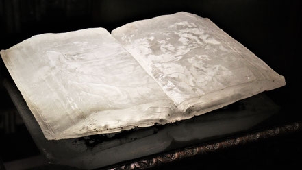 Livre cristallisé, œuvre de Pascal Convert, bibliothèque des princes de Bloglie au château de Chaumont-sur-Loire (2020)