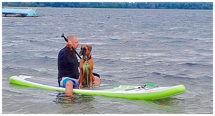 Stand Up Paddling Boxer Hund vonderwaldnielerheide 