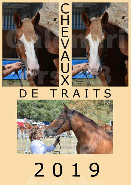 Calendrier A3 - page de Garde - Chevaux de Traits  