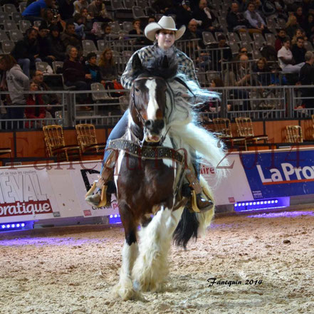 cheval de race IRISH COB monté