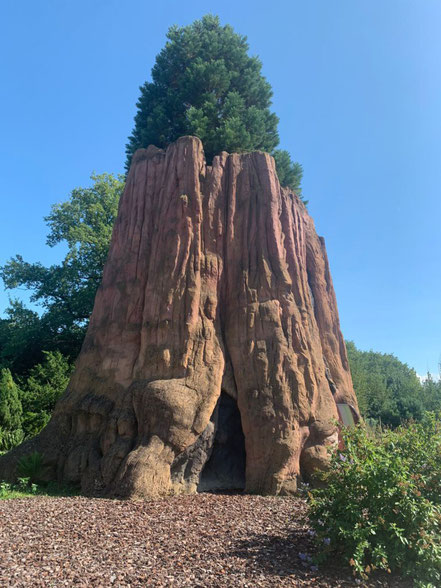 Der General Sherman Tree, ein Riesenmammutbaum,