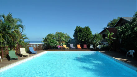 Large swimming pool (14 m × 9 m) at Le Cardinal des Grands Bleus, Saint-Leu, Réunion