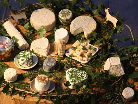 fromage de chèvre - la chèvrerie de la vallée verte - association llb - jura